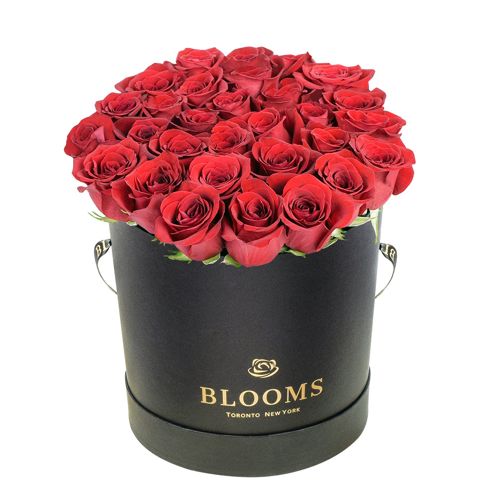 All Flowers